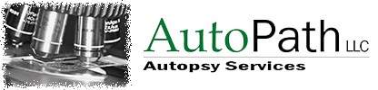 AutoPath LLC Logo